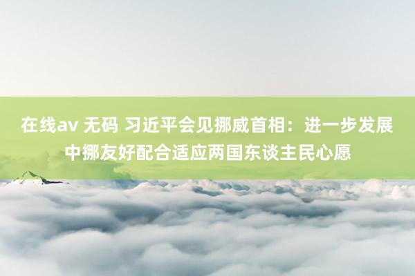 在线av 无码 习近平会见挪威首相：进一步发展中挪友好配合适应两国东谈主民心愿