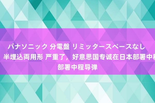 パナソニック 分電盤 リミッタースペースなし 露出・半埋込両用形 严重了，好意思国专诚在日本部署中程导弹