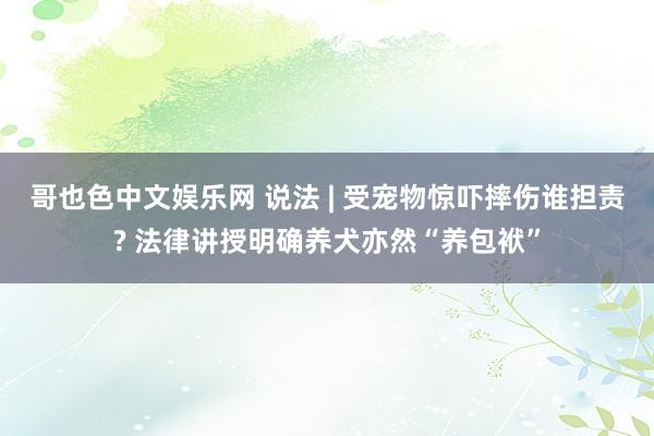 哥也色中文娱乐网 说法 | 受宠物惊吓摔伤谁担责? 法律讲授明确养犬亦然“养包袱”