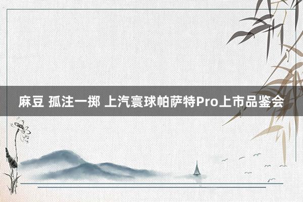 麻豆 孤注一掷 上汽寰球帕萨特Pro上市品鉴会