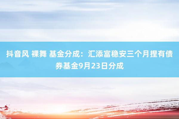 抖音风 裸舞 基金分成：汇添富稳安三个月捏有债券基金9月23日分成