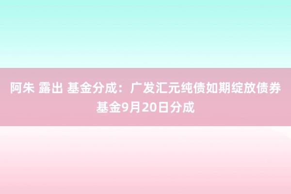 阿朱 露出 基金分成：广发汇元纯债如期绽放债券基金9月20日分成