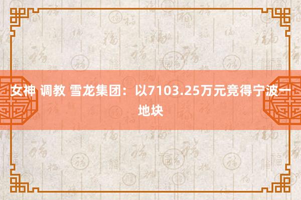 女神 调教 雪龙集团：以7103.25万元竞得宁波一地块