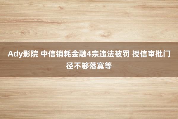 Ady影院 中信销耗金融4宗违法被罚 授信审批门径不够落寞等