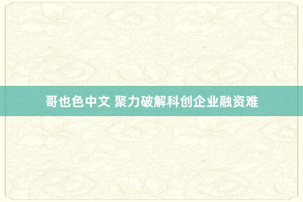 哥也色中文 聚力破解科创企业融资难