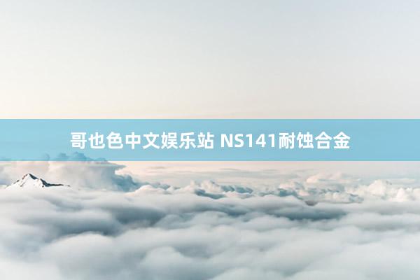 哥也色中文娱乐站 NS141耐蚀合金