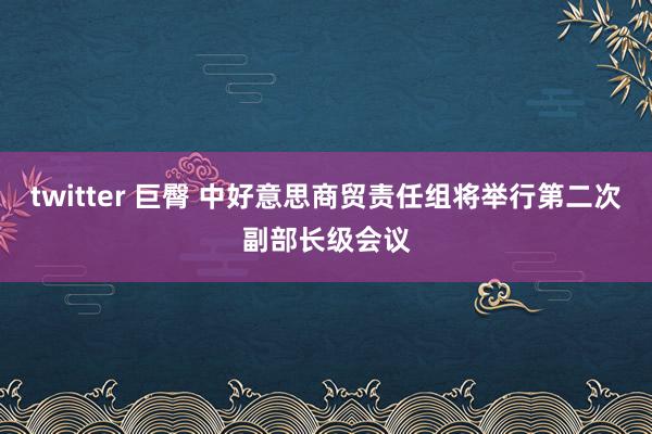 twitter 巨臀 中好意思商贸责任组将举行第二次副部长级会议