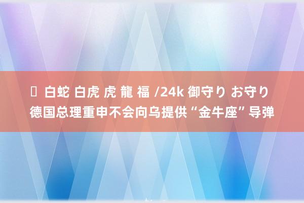 ✨白蛇 白虎 虎 龍 福 /24k 御守り お守り 德国总理重申不会向乌提供“金牛座”导弹