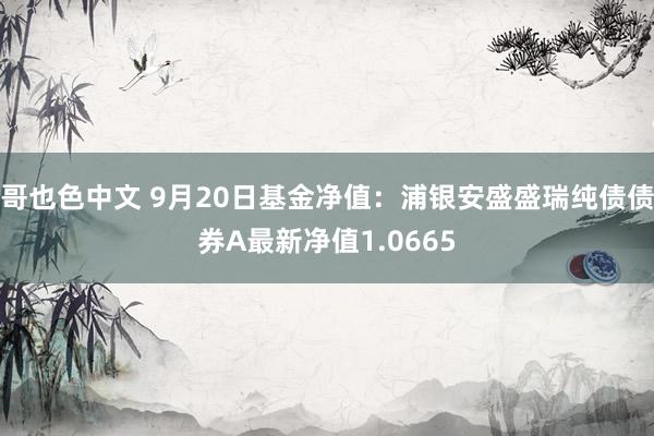 哥也色中文 9月20日基金净值：浦银安盛盛瑞纯债债券A最新净值1.0665