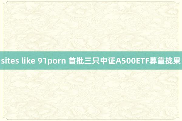 sites like 91porn 首批三只中证A500ETF募靠拢果