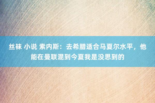 丝袜 小说 索内斯：去希腊适合马夏尔水平，他能在曼联混到今夏我是没思到的