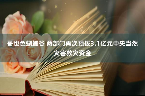 哥也色蝴蝶谷 两部门再次预拨3.1亿元中央当然灾害救灾资金