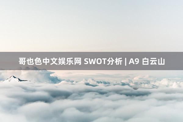 哥也色中文娱乐网 SWOT分析 | A9 白云山