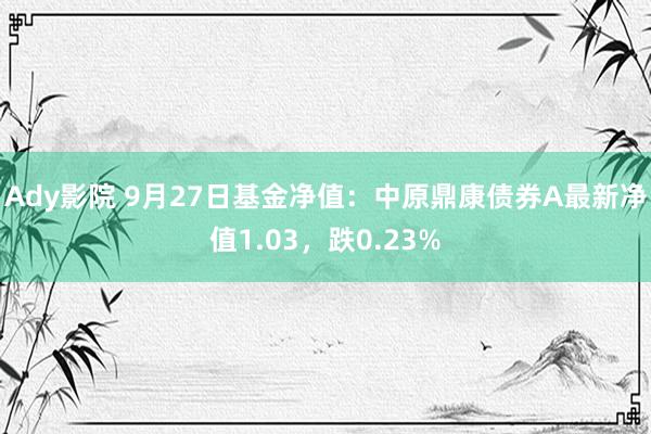 Ady影院 9月27日基金净值：中原鼎康债券A最新净值1.03，跌0.23%