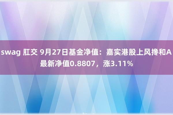 swag 肛交 9月27日基金净值：嘉实港股上风搀和A最新净值0.8807，涨3.11%