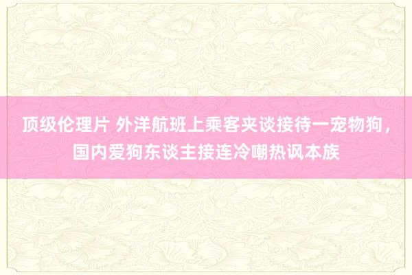 顶级伦理片 外洋航班上乘客夹谈接待一宠物狗，国内爱狗东谈主接连冷嘲热讽本族