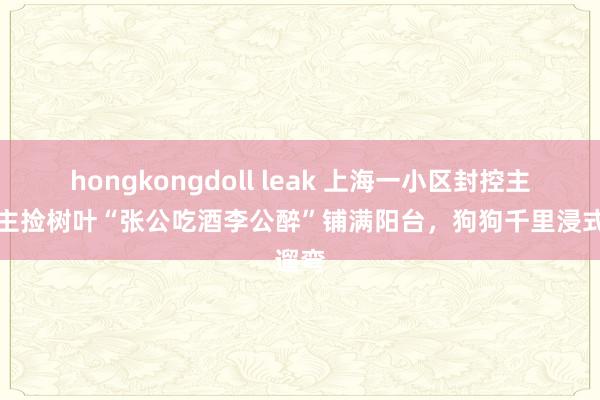 hongkongdoll leak 上海一小区封控主东谈主捡树叶“张公吃酒李公醉”铺满阳台，狗狗千里浸式遛弯