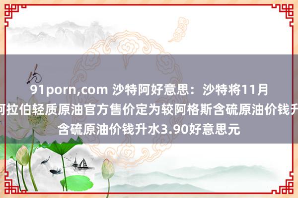 91porn，com 沙特阿好意思：沙特将11月销往好意思国的阿拉伯轻质原油官方售价定为较阿格斯含硫原油价钱升水3.90好意思元