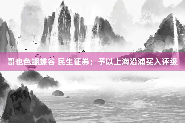 哥也色蝴蝶谷 民生证券：予以上海沿浦买入评级