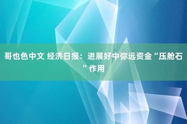 哥也色中文 经济日报：进展好中弥远资金“压舱石”作用