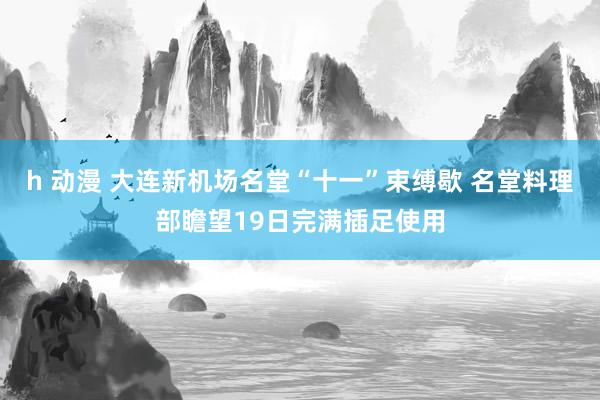 h 动漫 大连新机场名堂“十一”束缚歇 名堂料理部瞻望19日完满插足使用