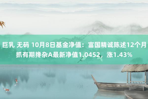 巨乳 无码 10月8日基金净值：富国精诚陈述12个月抓有期搀杂A最新净值1.0452，涨1.43%