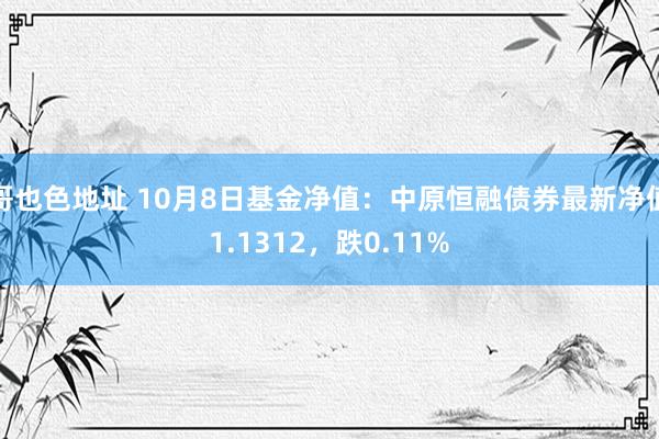 哥也色地址 10月8日基金净值：中原恒融债券最新净值1.1312，跌0.11%