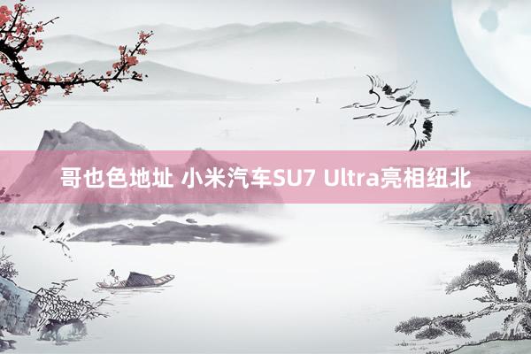 哥也色地址 小米汽车SU7 Ultra亮相纽北