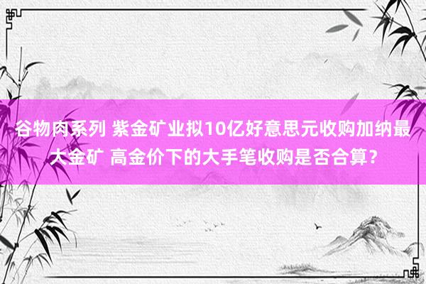 谷物肉系列 紫金矿业拟10亿好意思元收购加纳最大金矿 高金价下的大手笔收购是否合算？