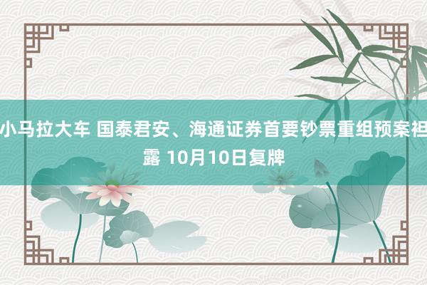 小马拉大车 国泰君安、海通证券首要钞票重组预案袒露 10月10日复牌