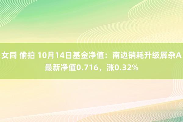 女同 偷拍 10月14日基金净值：南边销耗升级羼杂A最新净值0.716，涨0.32%