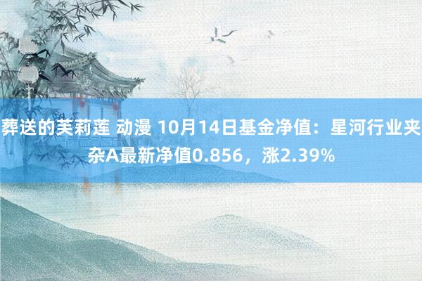 葬送的芙莉莲 动漫 10月14日基金净值：星河行业夹杂A最新净值0.856，涨2.39%