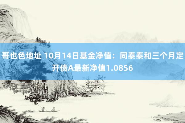 哥也色地址 10月14日基金净值：同泰泰和三个月定开债A最新净值1.0856