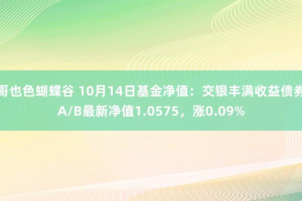 哥也色蝴蝶谷 10月14日基金净值：交银丰满收益债券A/B最新净值1.0575，涨0.09%