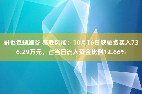 哥也色蝴蝶谷 泰胜风能：10月16日获融资买入736.29万元，占当日流入资金比例12.66%