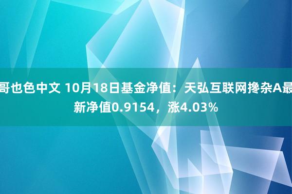 哥也色中文 10月18日基金净值：天弘互联网搀杂A最新净值0.9154，涨4.03%