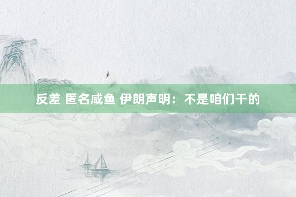 反差 匿名咸鱼 伊朗声明：不是咱们干的