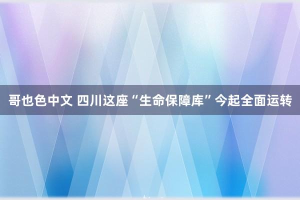 哥也色中文 四川这座“生命保障库”今起全面运转