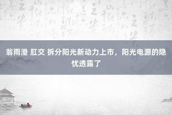 翁雨澄 肛交 拆分阳光新动力上市，阳光电源的隐忧透露了