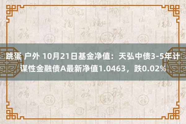 跳蛋 户外 10月21日基金净值：天弘中债3-5年计谋性金融债A最新净值1.0463，跌0.02%