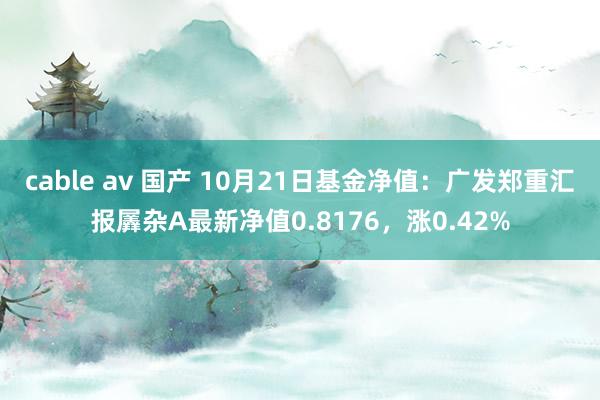 cable av 国产 10月21日基金净值：广发郑重汇报羼杂A最新净值0.8176，涨0.42%