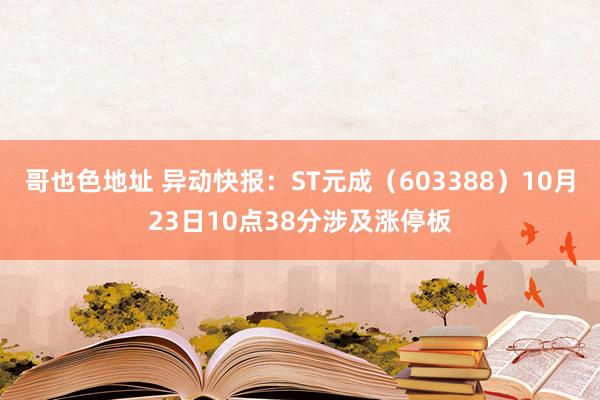 哥也色地址 异动快报：ST元成（603388）10月23日10点38分涉及涨停板