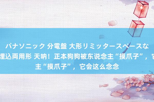 パナソニック 分電盤 大形リミッタースペースなし 露出・半埋込両用形 天呐！正本狗狗被东说念主“摸爪子”，它会这么念念