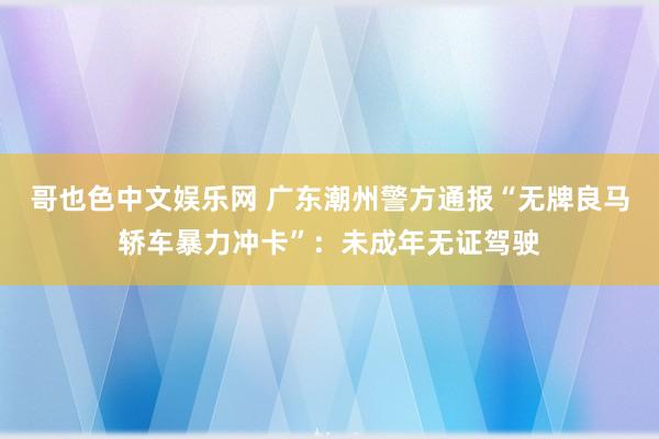 哥也色中文娱乐网 广东潮州警方通报“无牌良马轿车暴力冲卡”：未成年无证驾驶