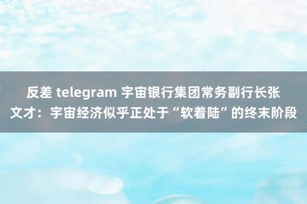 反差 telegram 宇宙银行集团常务副行长张文才：宇宙经济似乎正处于“软着陆”的终末阶段