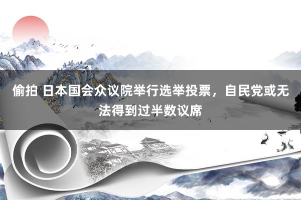 偷拍 日本国会众议院举行选举投票，自民党或无法得到过半数议席