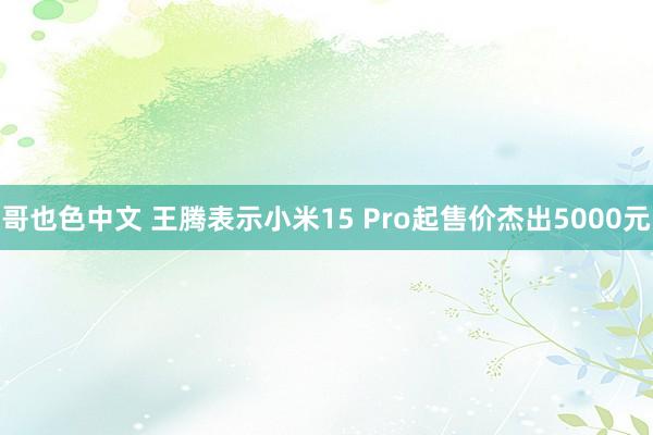 哥也色中文 王腾表示小米15 Pro起售价杰出5000元