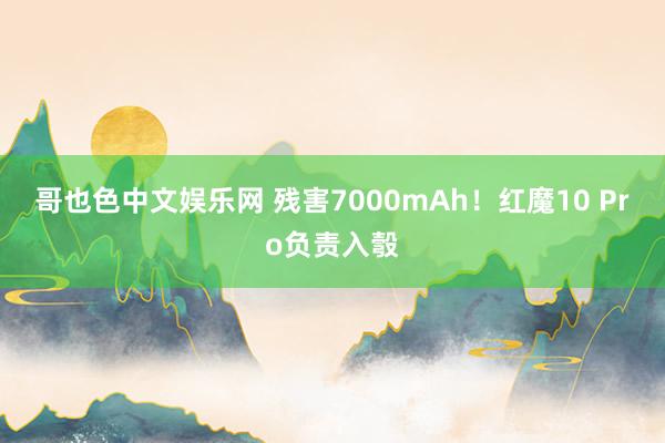 哥也色中文娱乐网 残害7000mAh！红魔10 Pro负责入彀