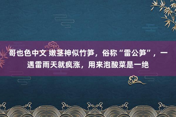 哥也色中文 嫩茎神似竹笋，俗称“雷公笋”，一遇雷雨天就疯涨，用来泡酸菜是一绝