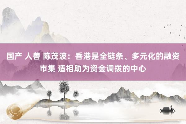 国产 人兽 陈茂波：香港是全链条、多元化的融资市集 适相助为资金调拨的中心